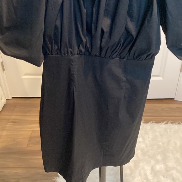 Black Petal & Pup Dress - Picture 4 of 7